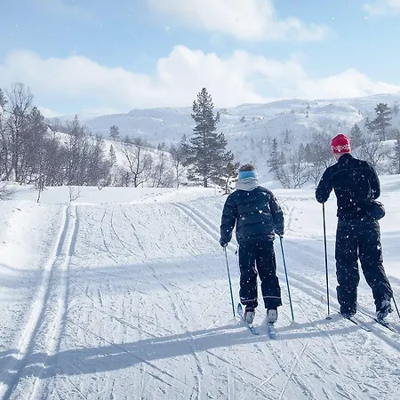 4-roms Sentralt Pa Bortelid *