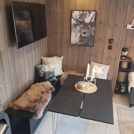 Appartamento 4-roms Sentralt Pa Bortelid Tjaldal