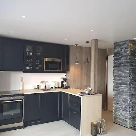 4-roms Sentralt Pa Bortelid Appartamento Tjaldal